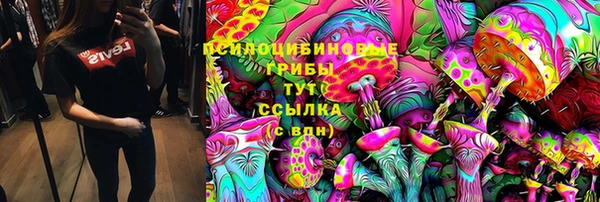 амф Няндома