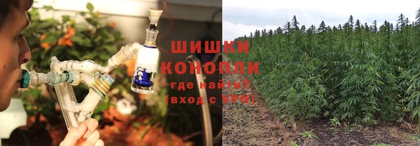 амф Няндома