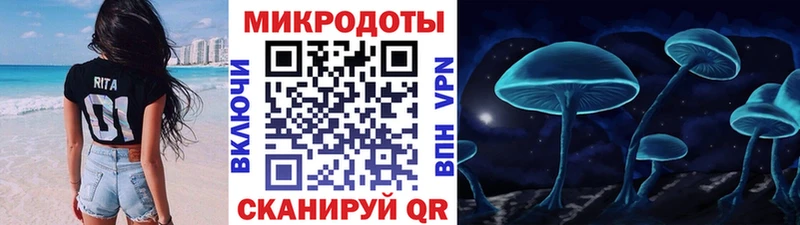 Галлюциногенные грибы ЛСД  где найти   Питкяранта 